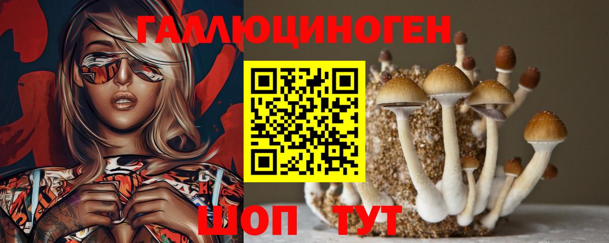 Кудымкар  Псилоцибиновые грибы Psilocybe  Вход с VPN 