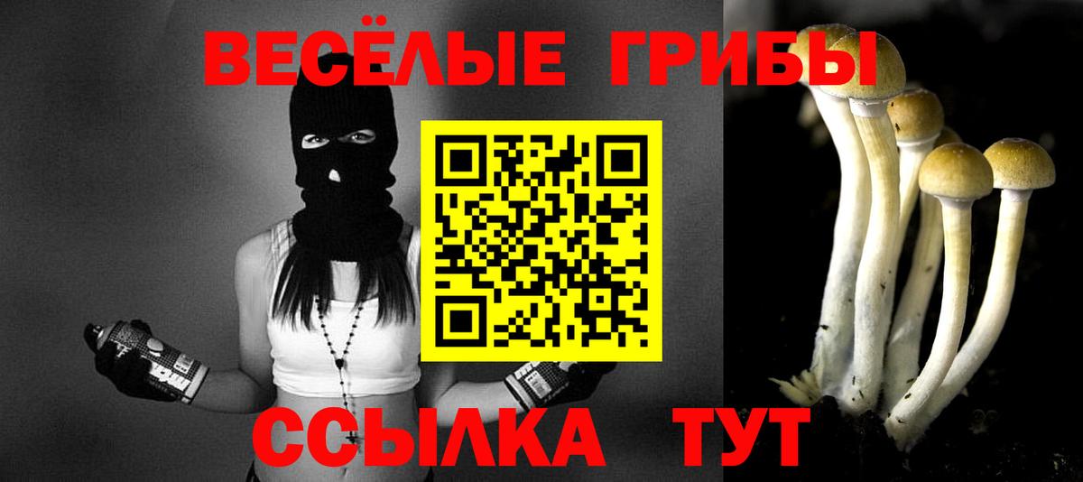 Галлюциногенные грибы Psilocybine cubensis Кудымкар